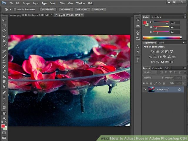 adobe photoshop 8.0 free download for mac